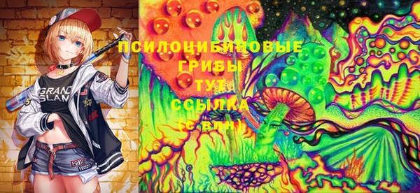 кокс Баксан