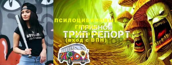 кокс Баксан