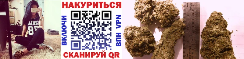Купить где  Тбилисская  Конопля Bruce Banner 